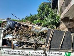 Best Estate Cleanout  in Wymore, NE